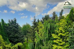 Alloggio Jaroszowice - zdjęcie6