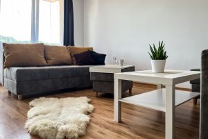 Apartmán Uroczy Pod Skarpą - zdjęcie9