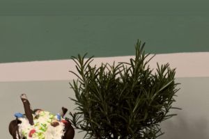 Rozmaryn Food&Drink - zdjęcie4