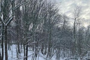 Domek z Widokiem - zdjęcie10