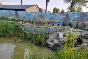 Wille: Myśliwska, Lux, Kier, Caro - zdjęcie2