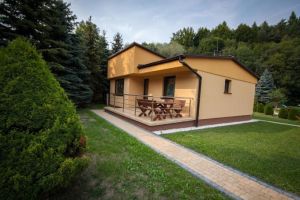 Ponikiew Resort - zdjęcie16