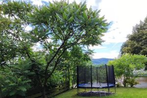 Noclegi na Gołębiówce - zdjęcie10