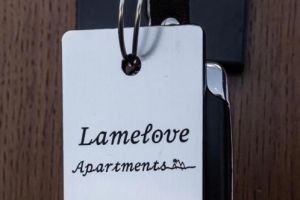 Lamelove Apartaments - zdjęcie21